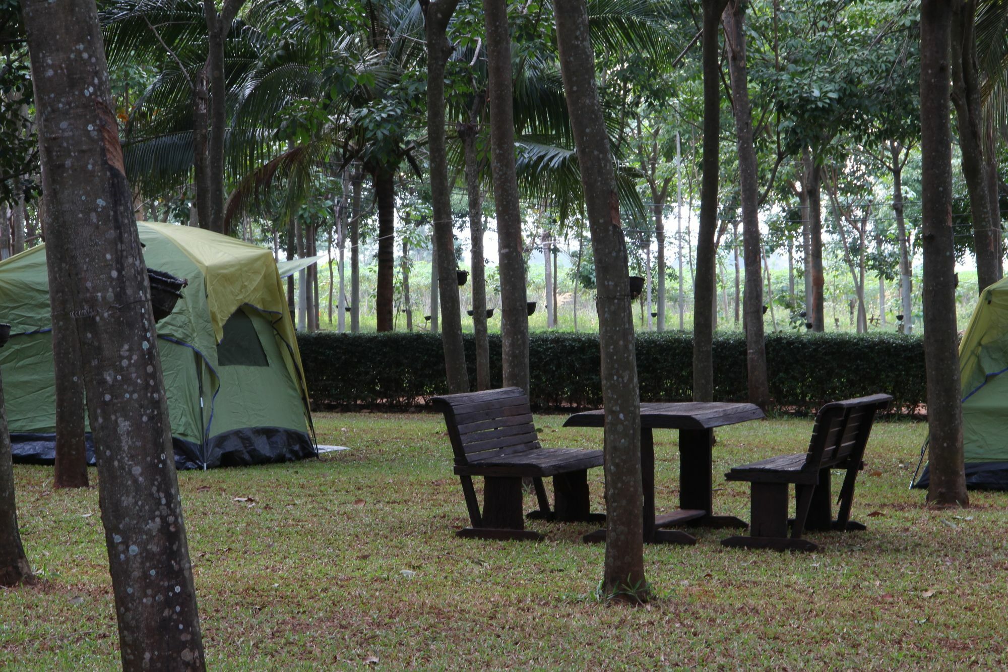 Hotel Singha Rubber Tree Sai Yok Exterior foto